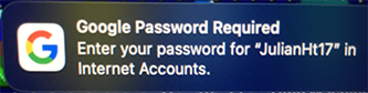 Google Password required.png