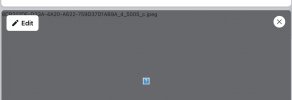 Screenshot 2025-03-02 at 4.51.44 pm.jpg