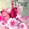 Tracy