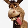 CarlosTheJackass