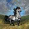 Shadowfax