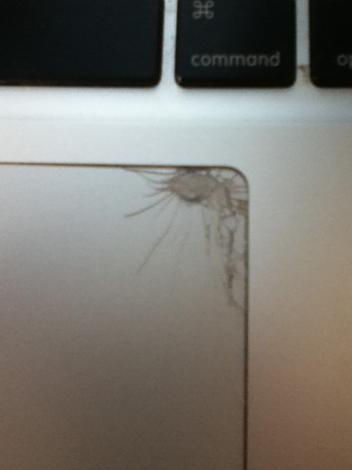 crack.jpg